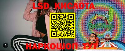 стафф Кандалакша