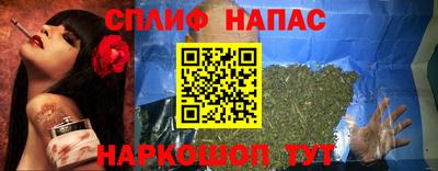 стафф Кандалакша
