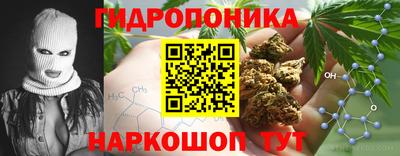 стафф Кандалакша