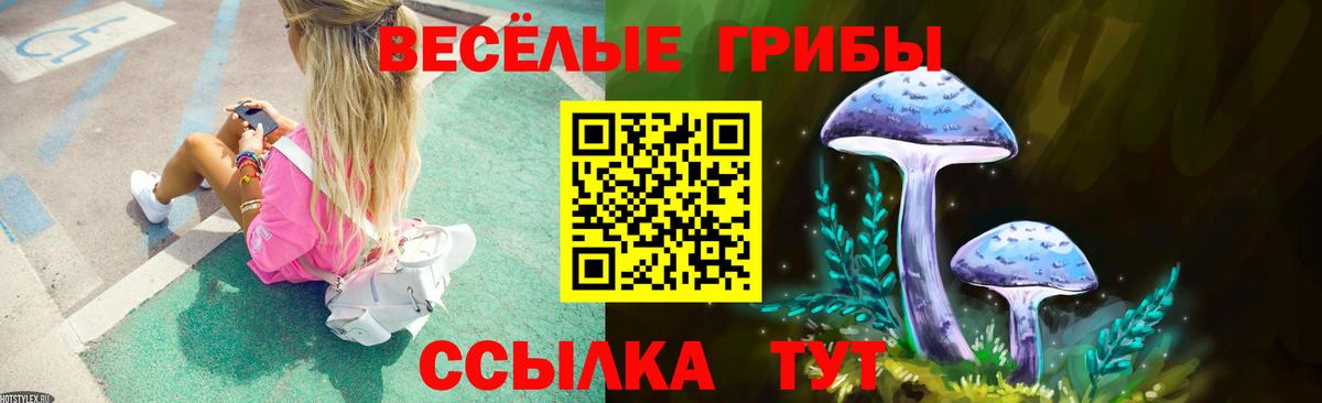 Галлюциногенные грибы мухоморы  Галлюциногенные грибы мицелий  Вход с VPN  Каспийск 